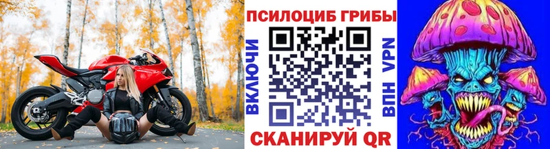 купить  сайты  Кострома  Псилоцибиновые грибы Magic Shrooms 