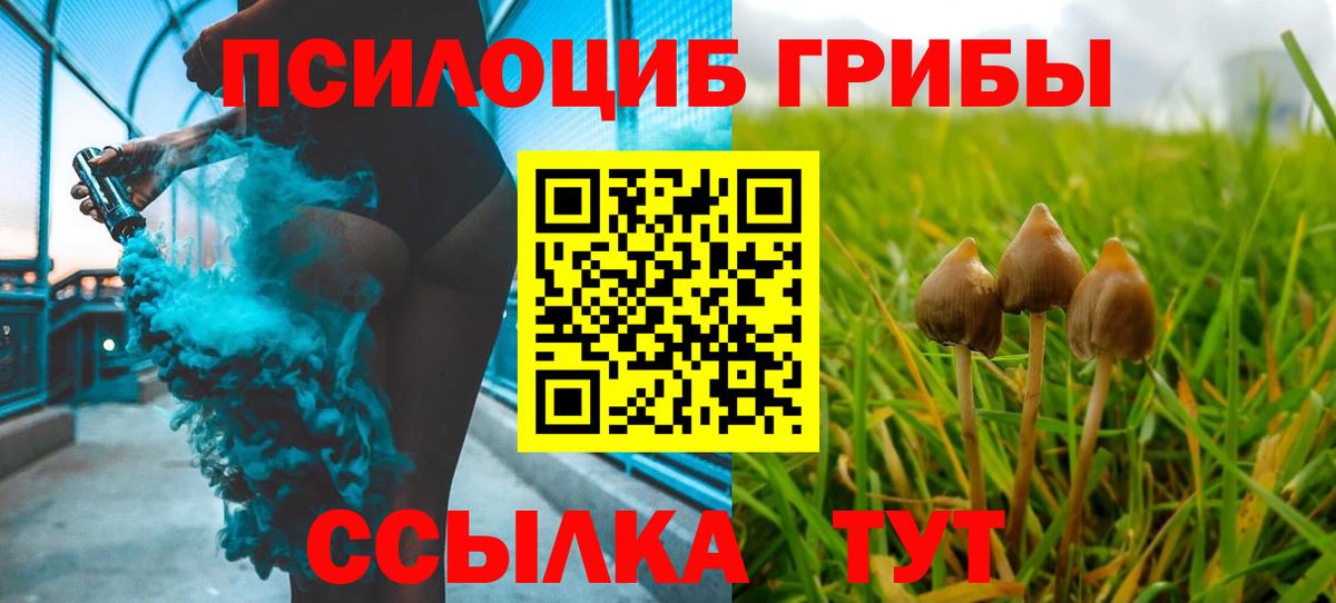 Галлюциногенные грибы MAGIC MUSHROOMS  Псилоцибиновые грибы Psilocybe  Вход с VPN  купить  цена  Кострома 